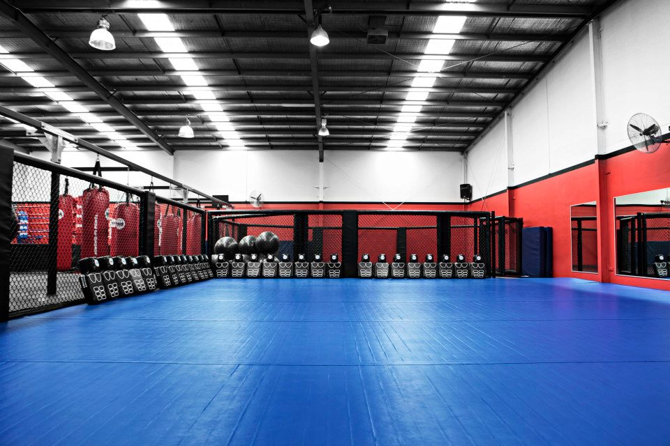 Group Training Session